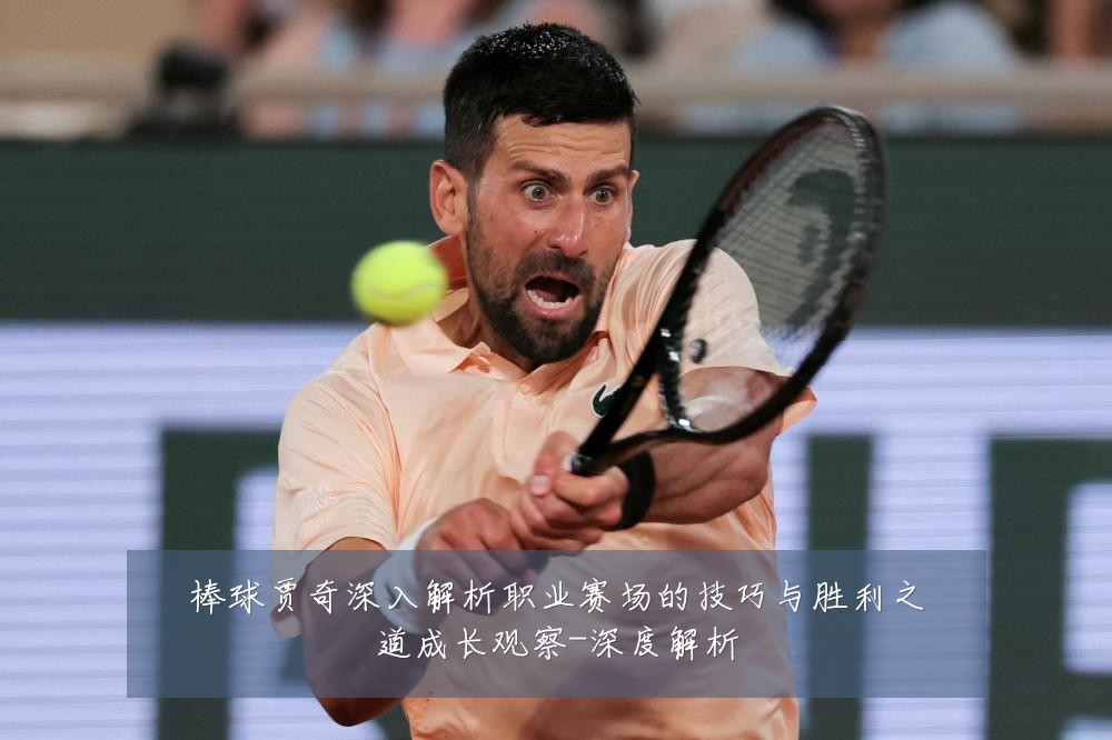 棒球贾奇深入解析职业赛场的技巧与胜利之道成长观察-深度解析